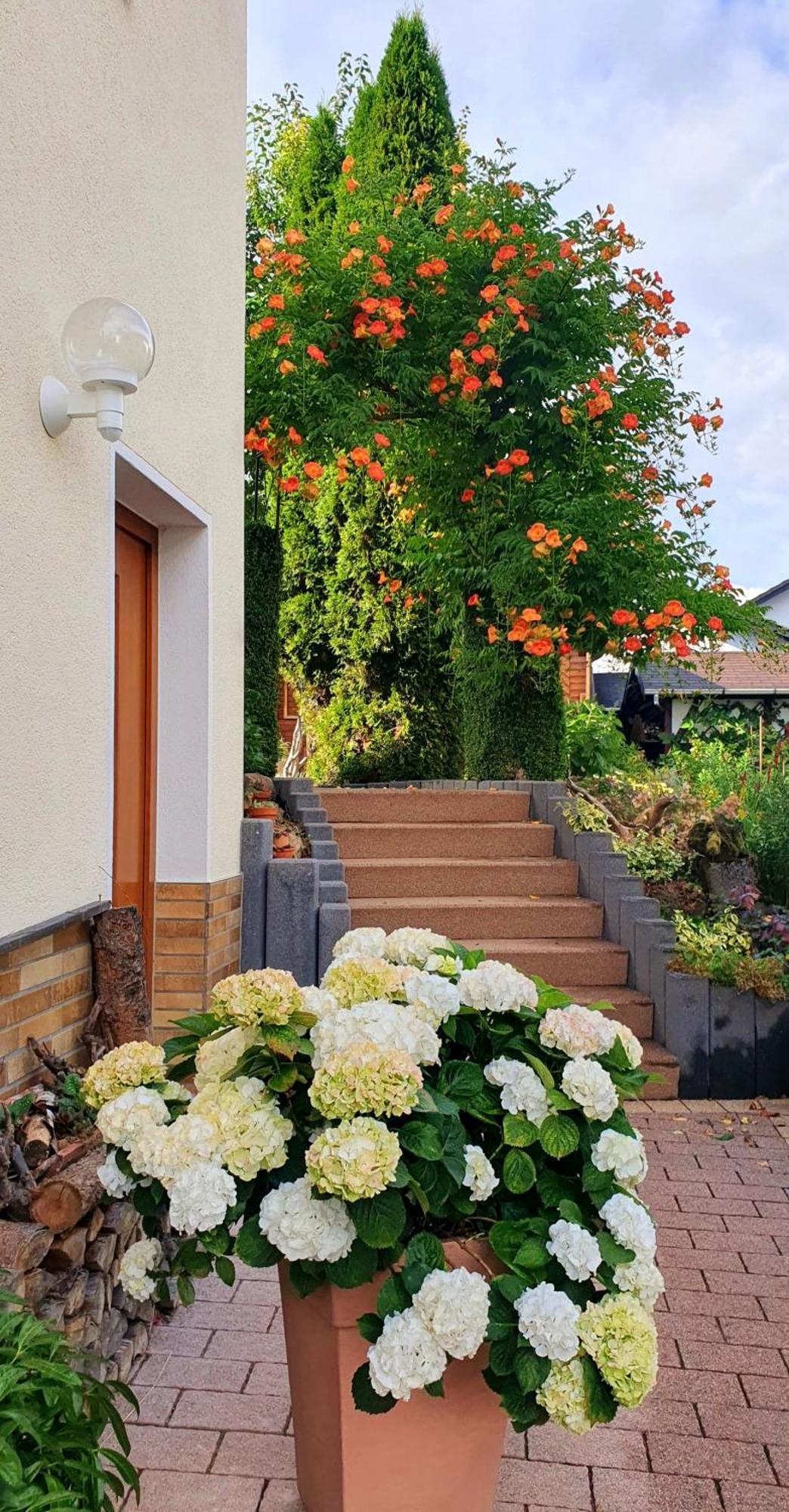 Steinau an der Straße Gaestezimmer Weinberg מראה חיצוני תמונה